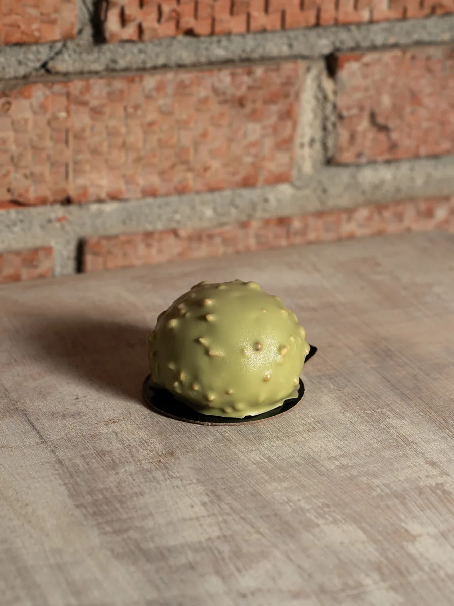 Rocher fistic